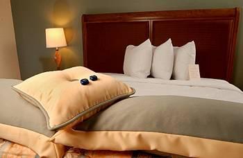 Island View Casino Resort Hotel Gulfport Quarto foto